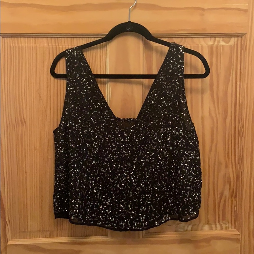 Zara Sequin Embroidered Top